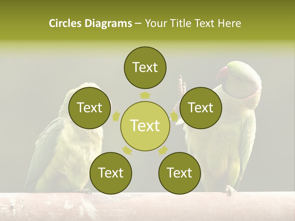 National Parakeets Nature PowerPoint Template