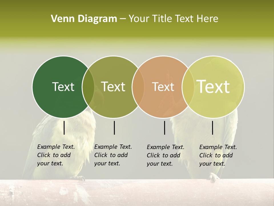 National Parakeets Nature PowerPoint Template
