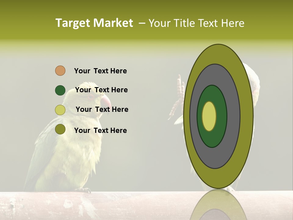 National Parakeets Nature PowerPoint Template