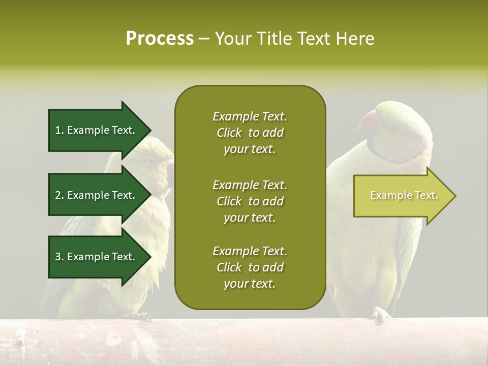 National Parakeets Nature PowerPoint Template