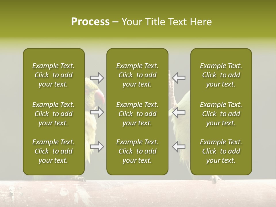 National Parakeets Nature PowerPoint Template