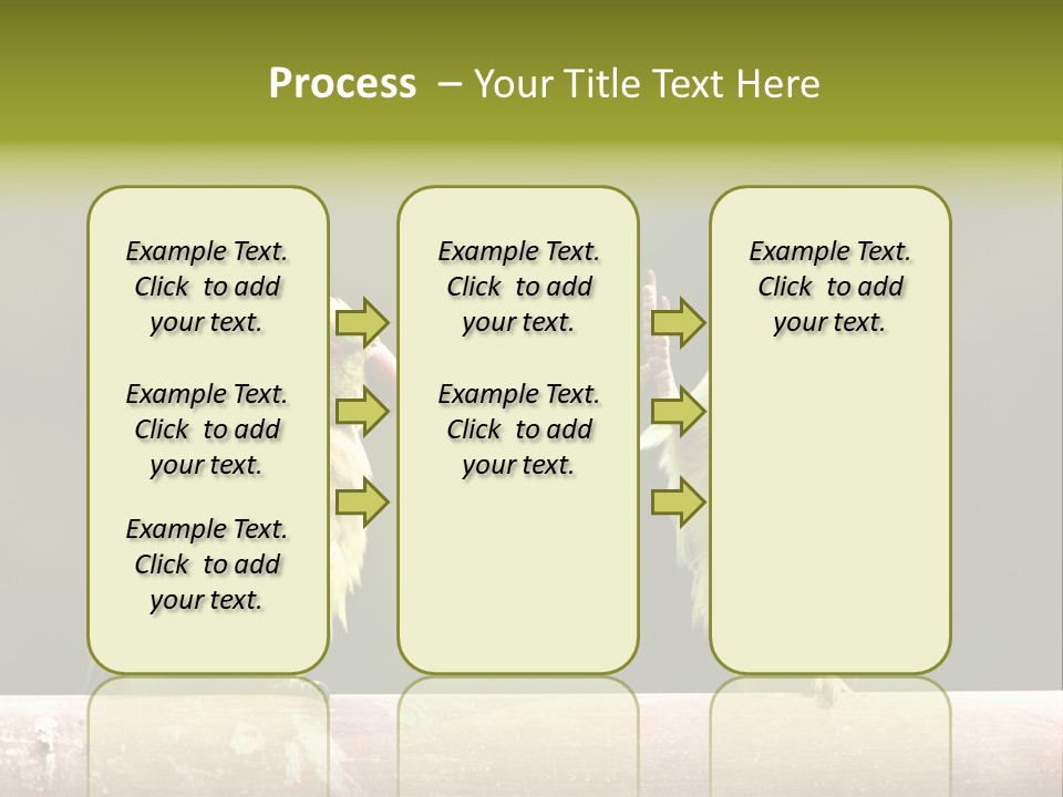 National Parakeets Nature PowerPoint Template