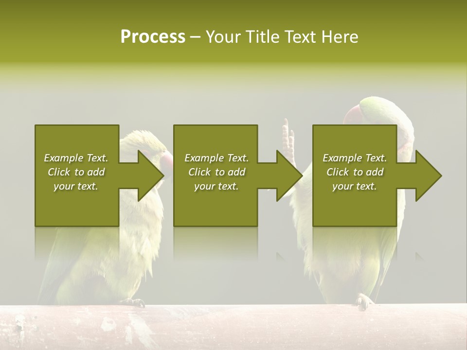 National Parakeets Nature PowerPoint Template
