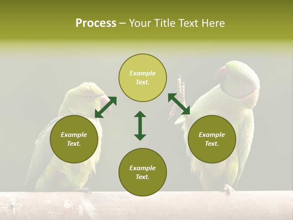 National Parakeets Nature PowerPoint Template