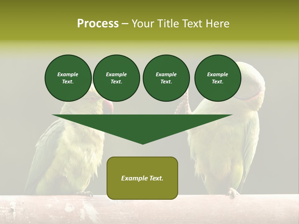 National Parakeets Nature PowerPoint Template