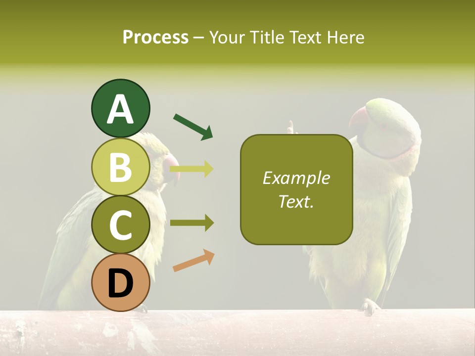 National Parakeets Nature PowerPoint Template
