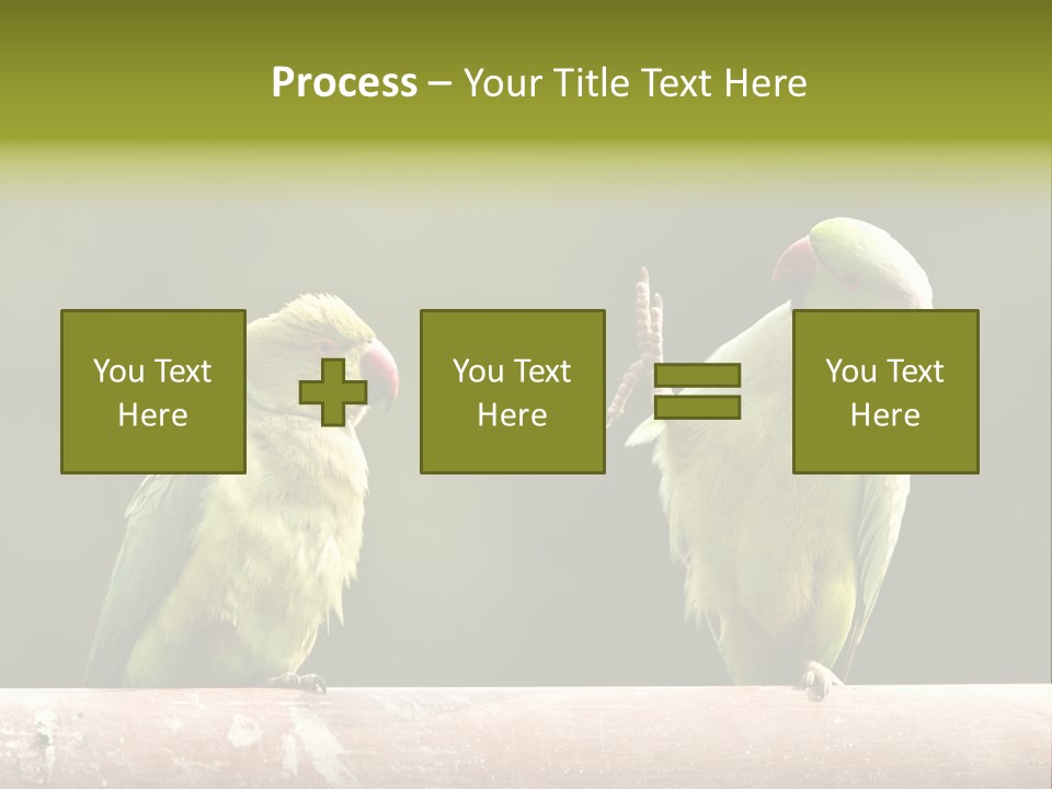 National Parakeets Nature PowerPoint Template