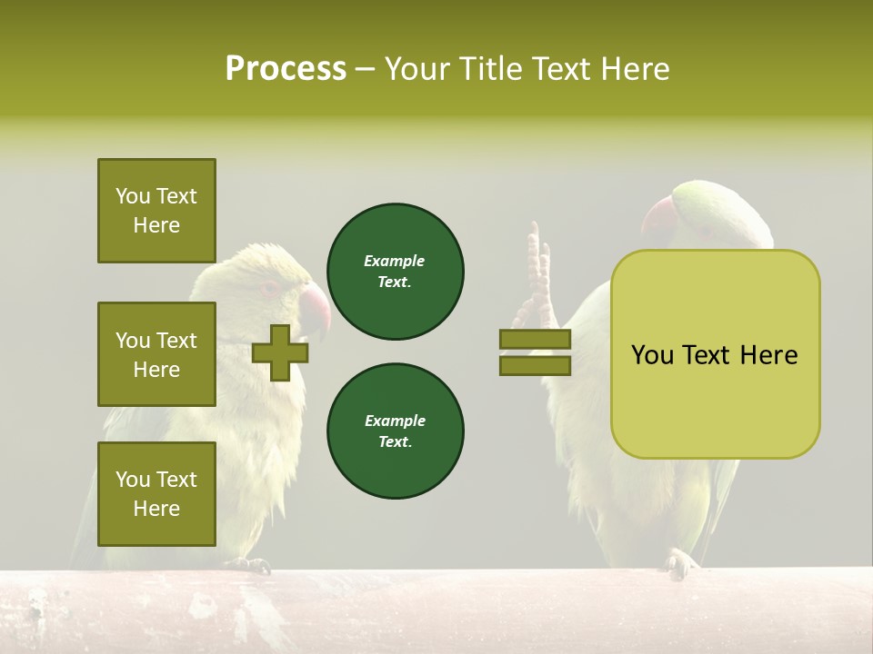 National Parakeets Nature PowerPoint Template