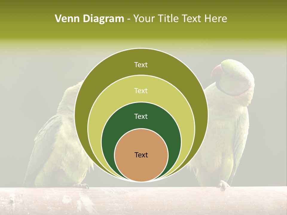 National Parakeets Nature PowerPoint Template