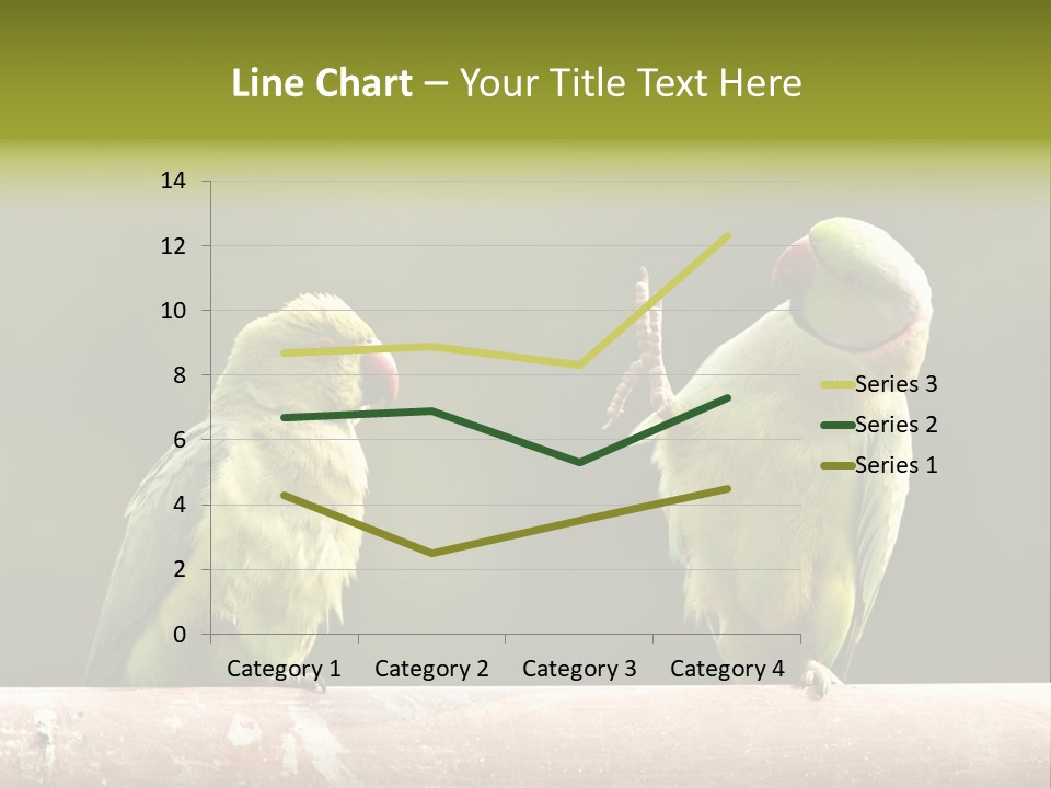 National Parakeets Nature PowerPoint Template