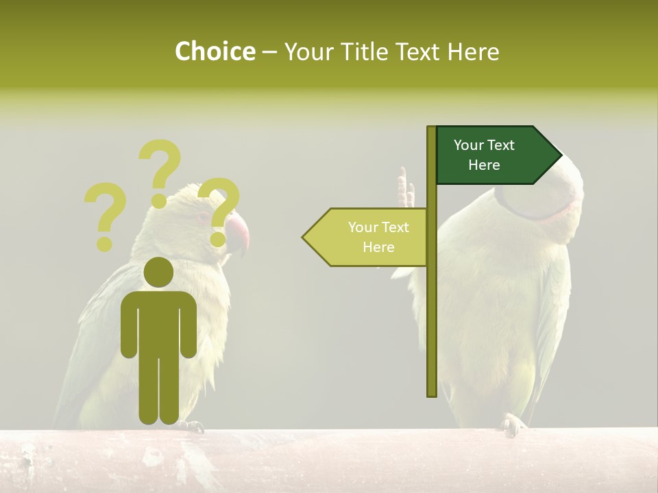 National Parakeets Nature PowerPoint Template