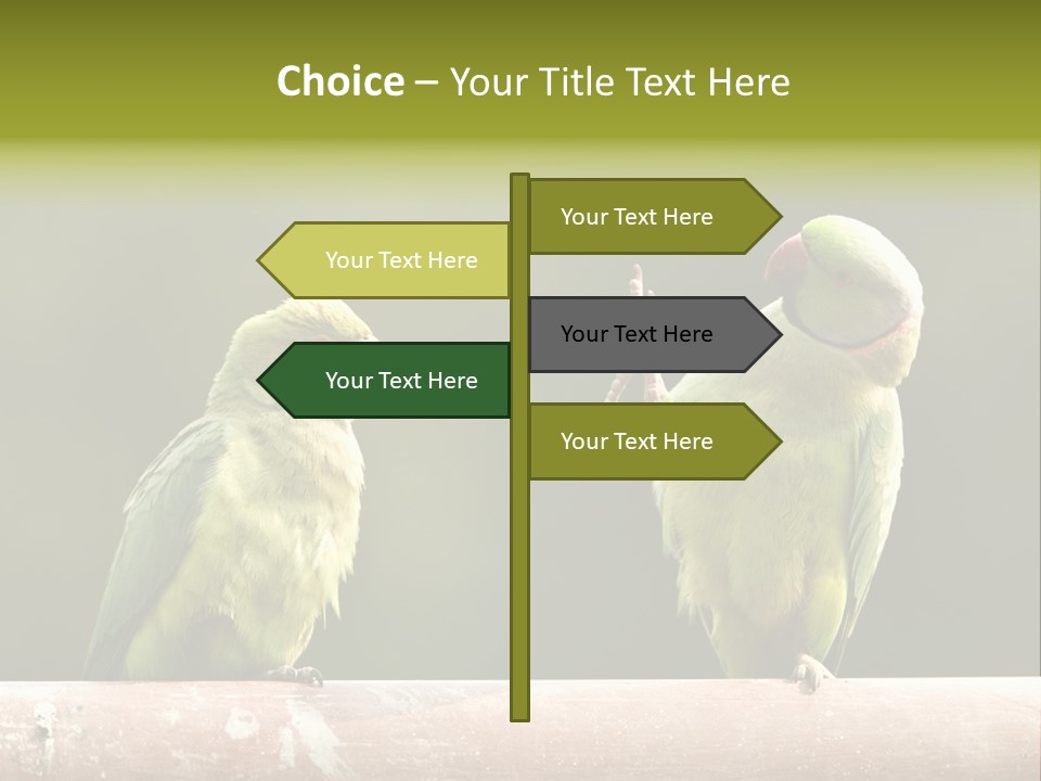 National Parakeets Nature PowerPoint Template