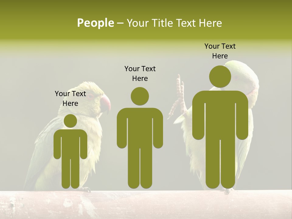 National Parakeets Nature PowerPoint Template