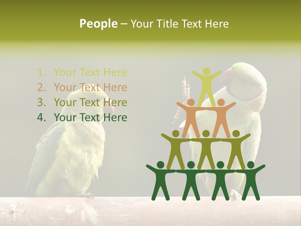 National Parakeets Nature PowerPoint Template