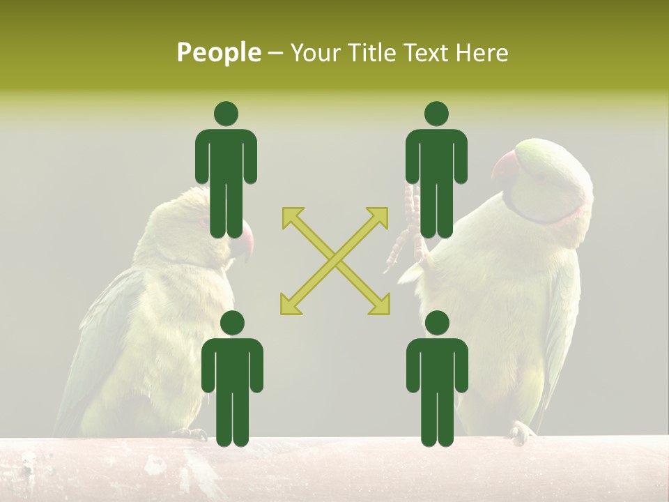 National Parakeets Nature PowerPoint Template