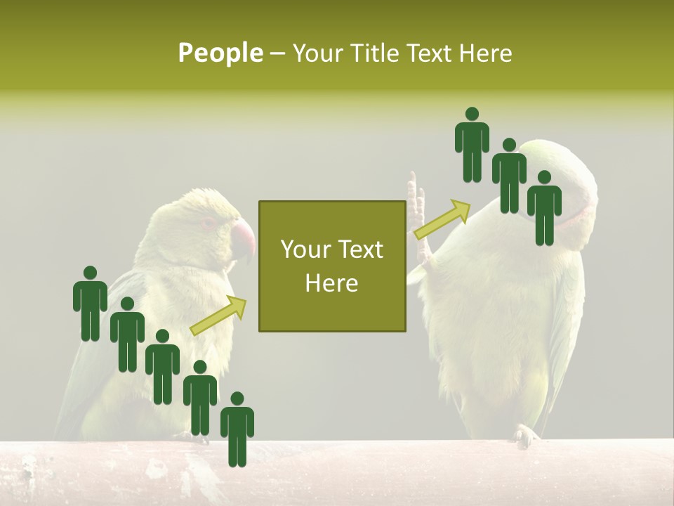 National Parakeets Nature PowerPoint Template