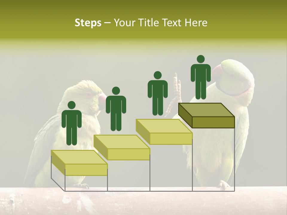 National Parakeets Nature PowerPoint Template