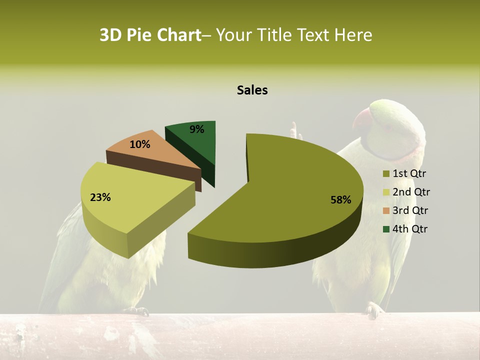National Parakeets Nature PowerPoint Template