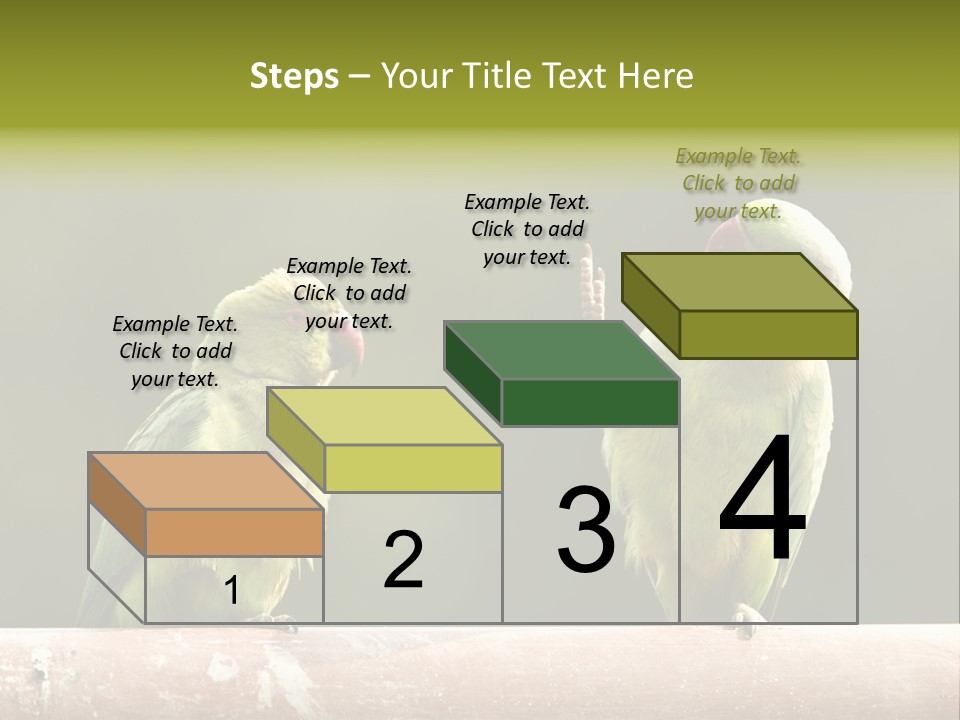 National Parakeets Nature PowerPoint Template