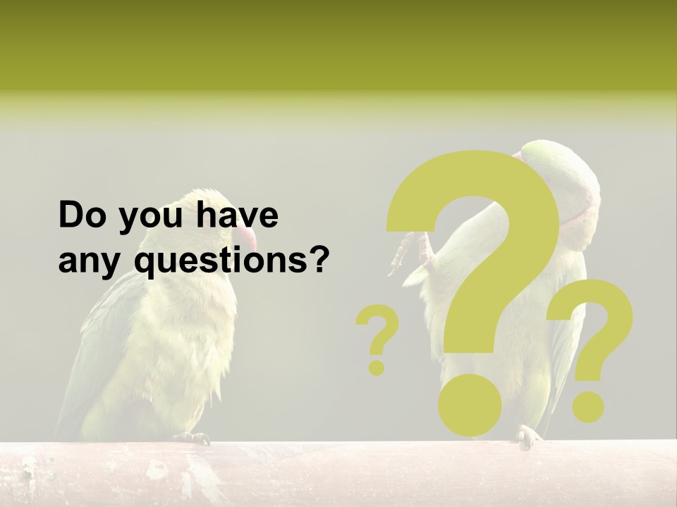 National Parakeets Nature PowerPoint Template