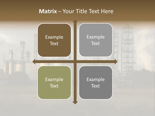 Haired Paw Childhood PowerPoint Template