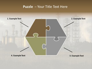 Haired Paw Childhood PowerPoint Template