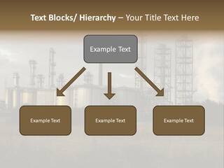 Haired Paw Childhood PowerPoint Template