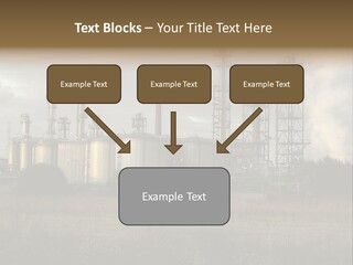 Haired Paw Childhood PowerPoint Template