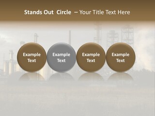 Haired Paw Childhood PowerPoint Template