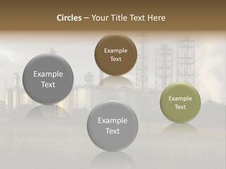 Haired Paw Childhood PowerPoint Template