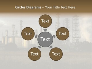 Haired Paw Childhood PowerPoint Template