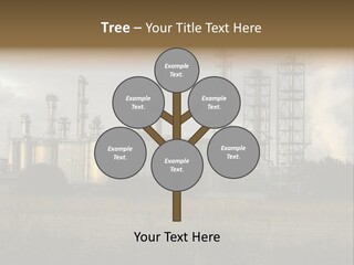 Haired Paw Childhood PowerPoint Template