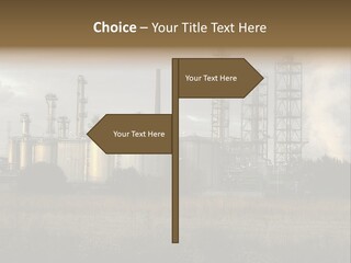 Haired Paw Childhood PowerPoint Template