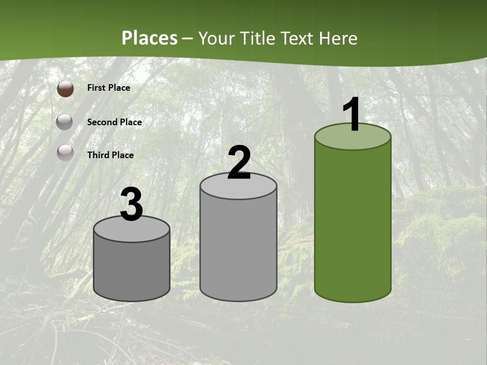 Sun Portrait Sunset PowerPoint Template