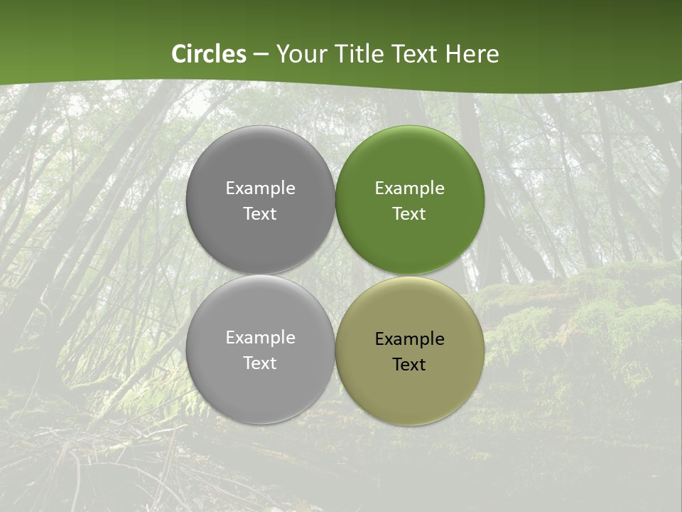 Sun Portrait Sunset PowerPoint Template