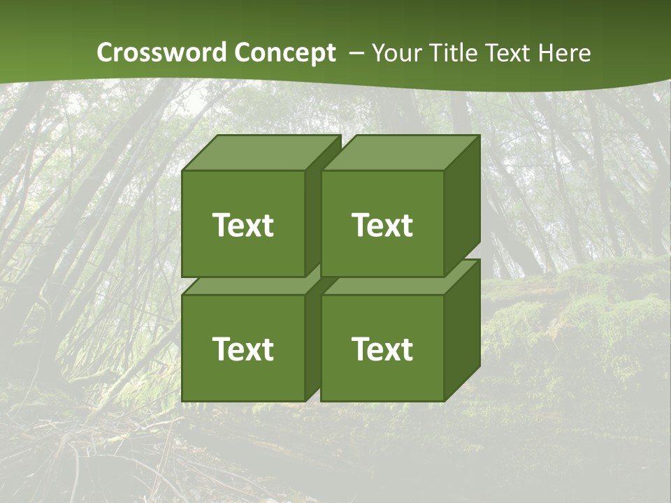 Sun Portrait Sunset PowerPoint Template