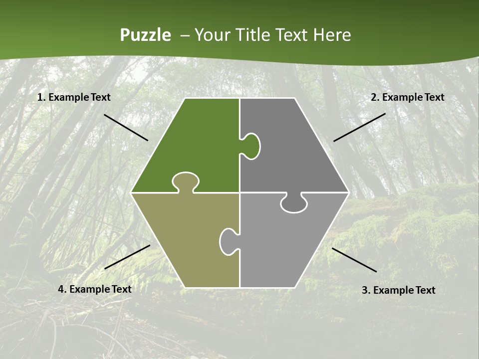 Sun Portrait Sunset PowerPoint Template