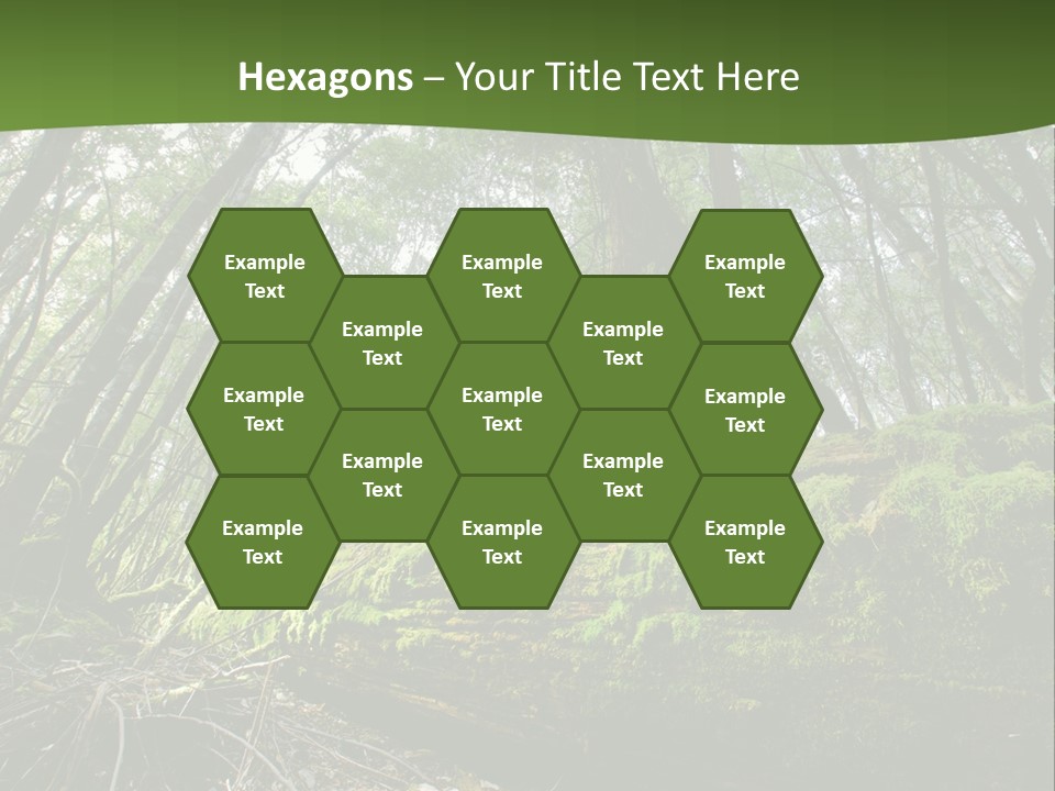 Sun Portrait Sunset PowerPoint Template