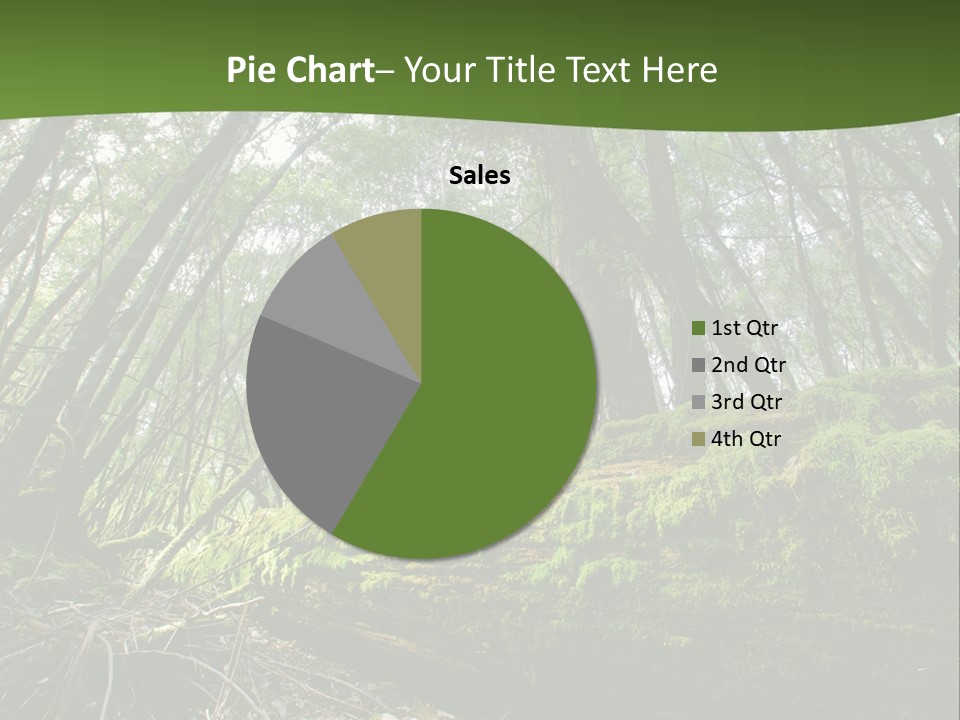 Sun Portrait Sunset PowerPoint Template