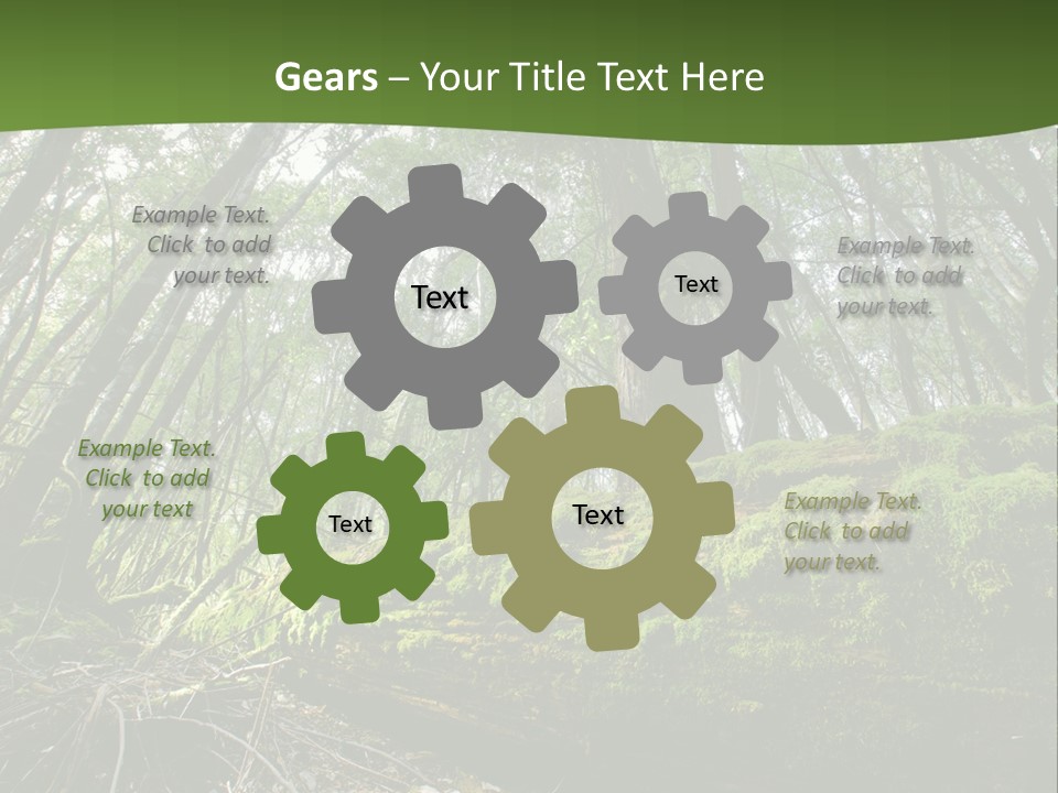 Sun Portrait Sunset PowerPoint Template