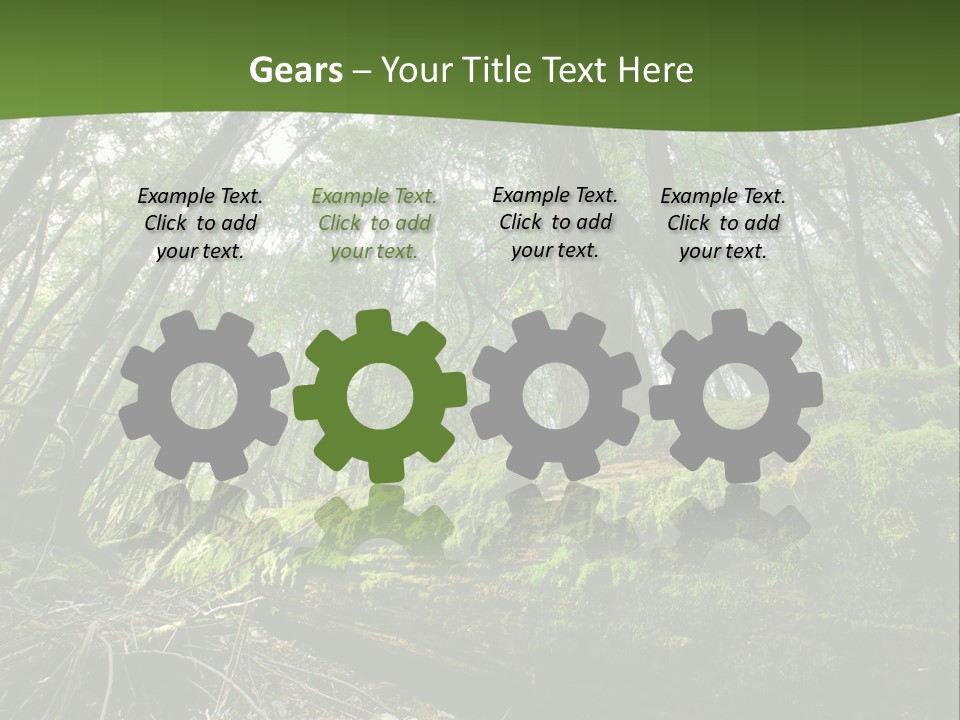 Sun Portrait Sunset PowerPoint Template