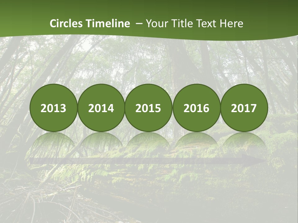 Sun Portrait Sunset PowerPoint Template