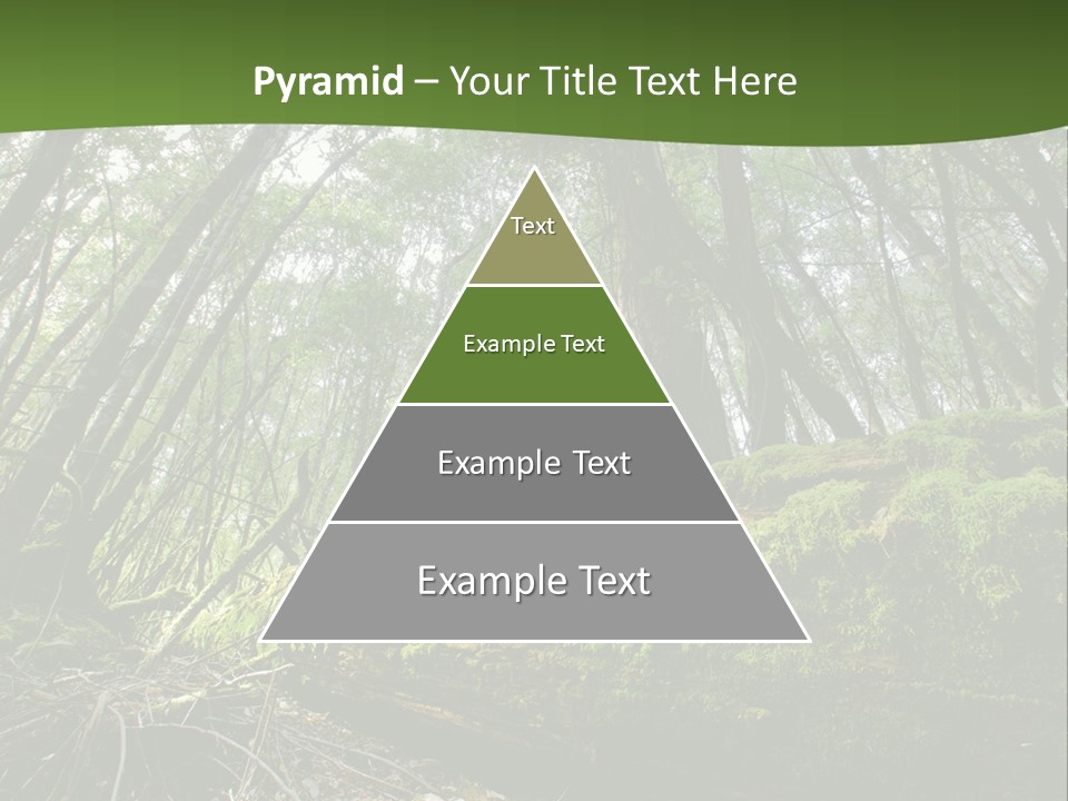 Sun Portrait Sunset PowerPoint Template