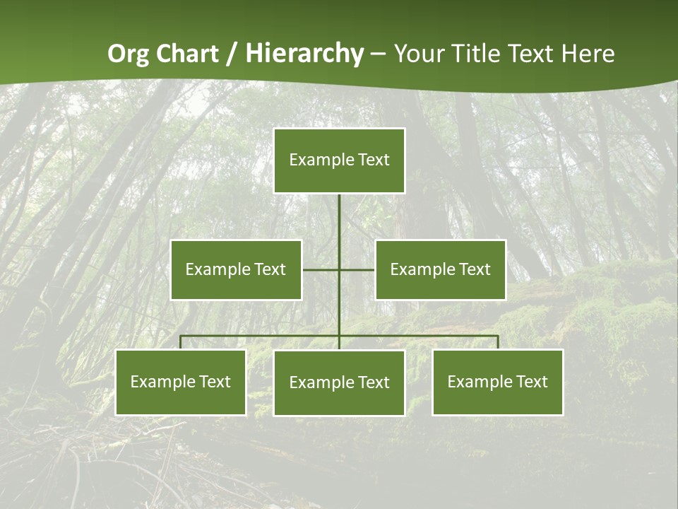Sun Portrait Sunset PowerPoint Template