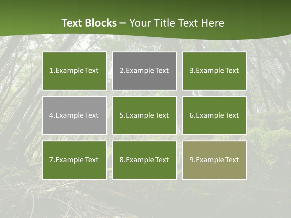 Sun Portrait Sunset PowerPoint Template