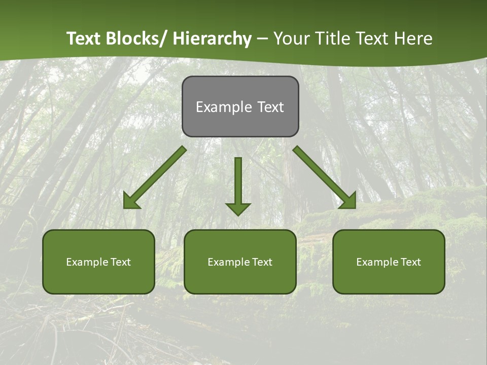 Sun Portrait Sunset PowerPoint Template