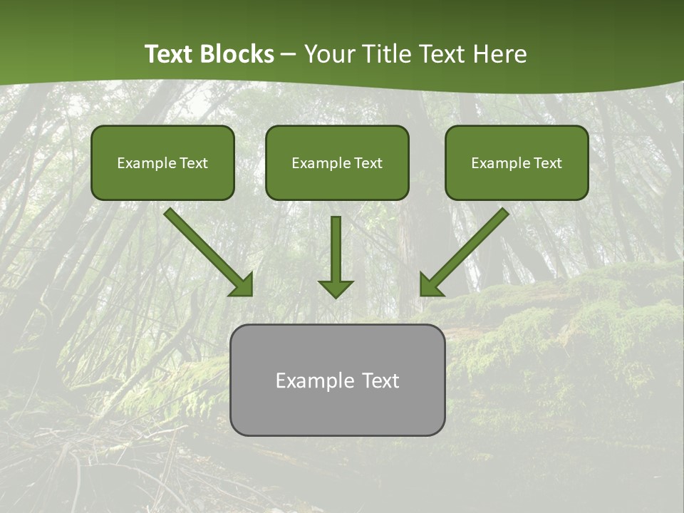Sun Portrait Sunset PowerPoint Template