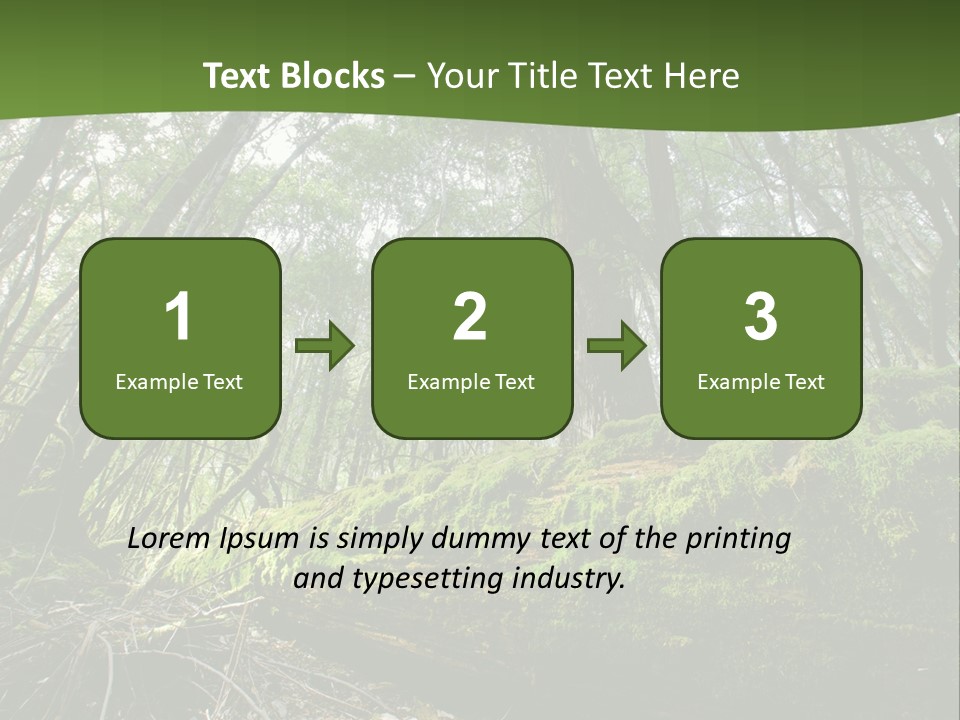 Sun Portrait Sunset PowerPoint Template