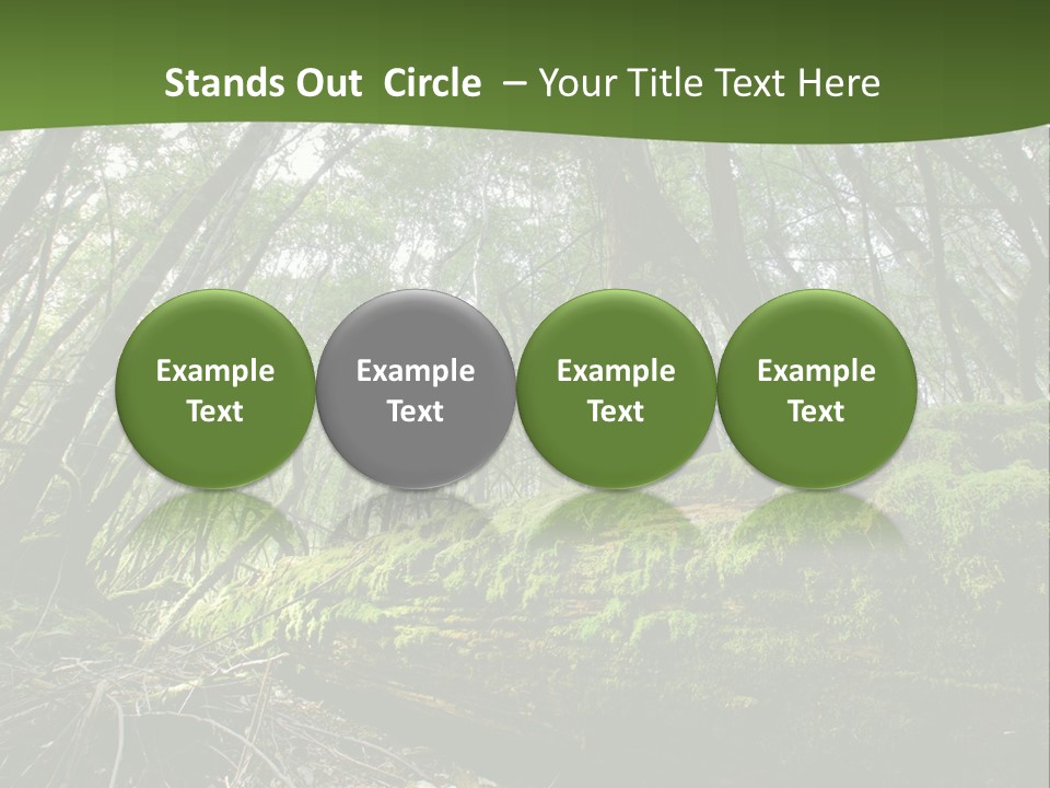 Sun Portrait Sunset PowerPoint Template