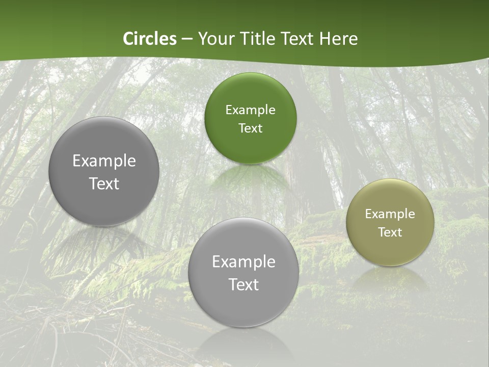 Sun Portrait Sunset PowerPoint Template